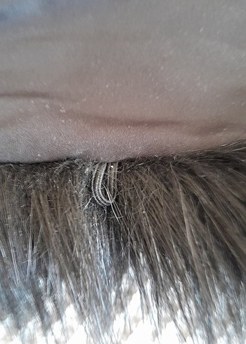 Kadın Siyah Uzun Kürk Detaylı Şal - Görsel 7