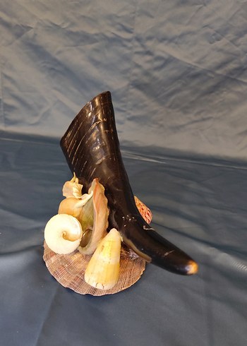 Deniz kabuklu koyu boynuz figürü - Görsel 7