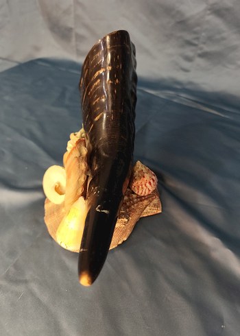 Deniz kabuklu koyu boynuz figürü - Görsel 9