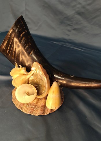 Deniz kabuklu koyu boynuz figürü - Görsel 6