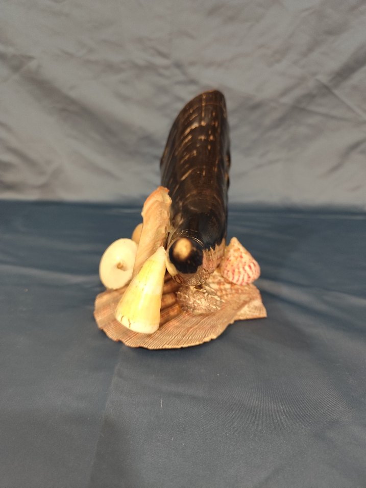 Deniz kabuklu koyu boynuz figürü - Görsel 4