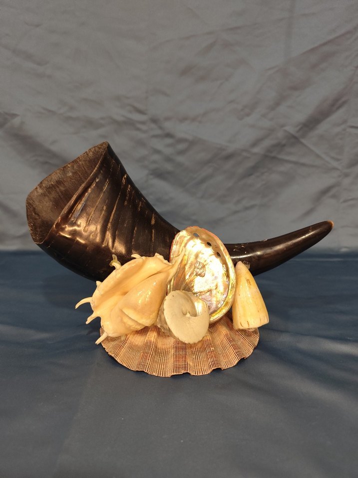 Deniz kabuklu koyu boynuz figürü - Görsel 3