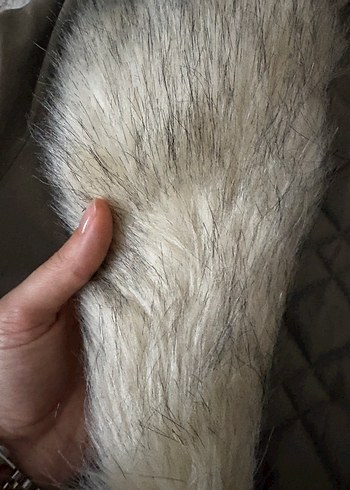 Gri Kürklü  Kadın mont - Görsel 4