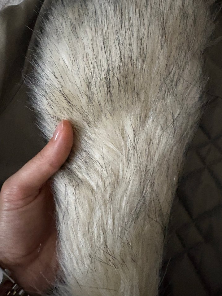 Gri Kürklü  Kadın mont - Görsel 4