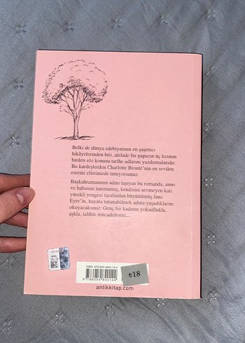 Jane Eyre Romanı - Charlotte Brontë - Görsel 2