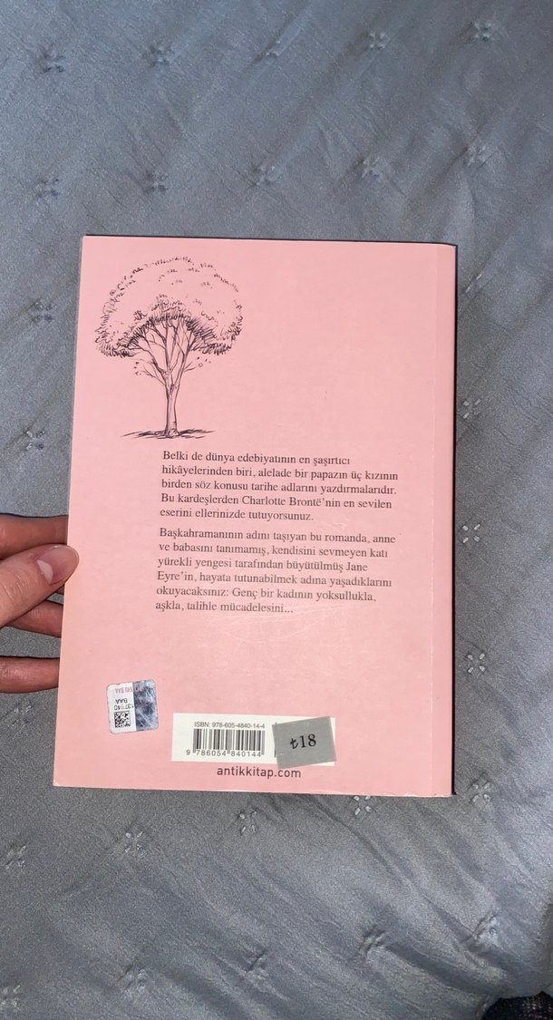 Jane Eyre Romanı - Charlotte Brontë - Görsel 2