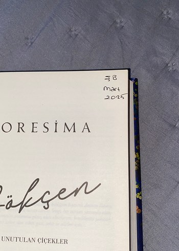 Göksen - Loresima Romanı - Görsel 2