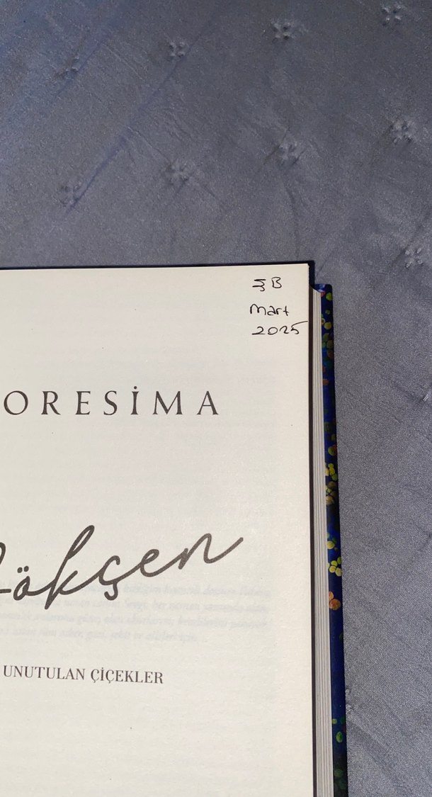 Göksen - Loresima Romanı - Görsel 2