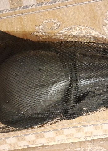 Siyah Motosiklet Dizliği - Görsel 3