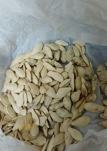 Doğal Kabak Çekirdeği - Görsel 2