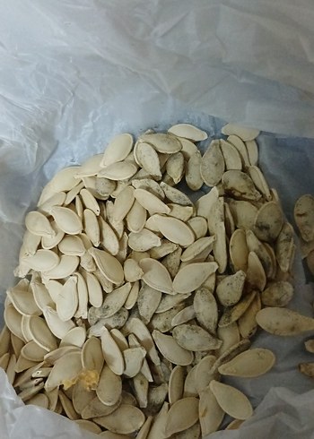 Doğal Kabak Çekirdeği - Görsel 3