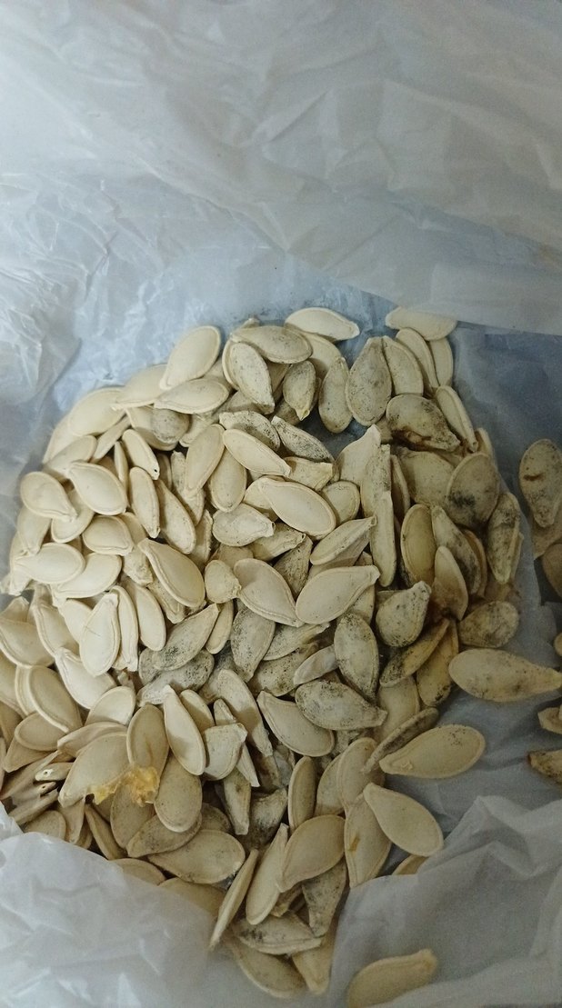 Doğal Kabak Çekirdeği - Görsel 4