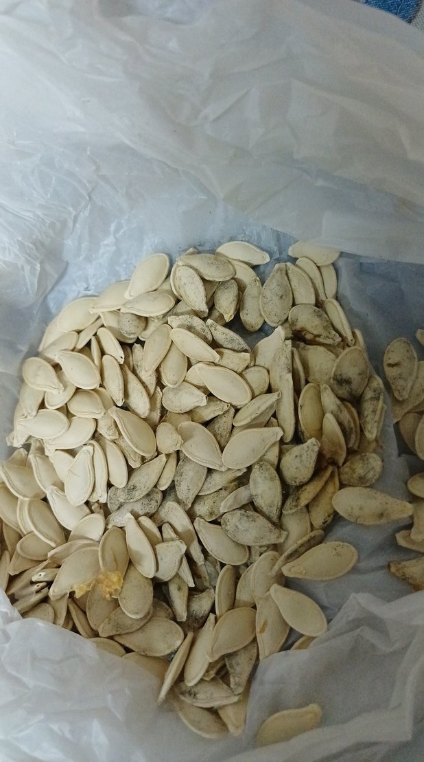 Doğal Kabak Çekirdeği - Görsel 2