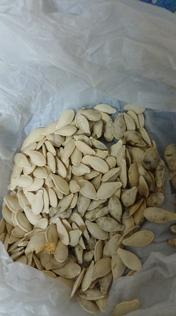 Doğal Kabak Çekirdeği - Görsel 3