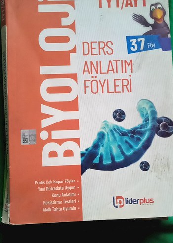 yks soru bankası ve ders anlatım föyleri - Görsel 10