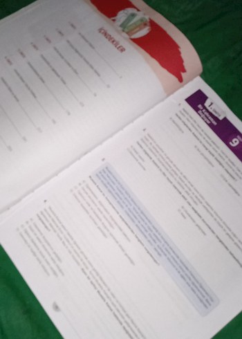 8. Sınıf T.C. İnkılap Tarihi ve Atatürkçülük Soru Bankası - Görsel 3