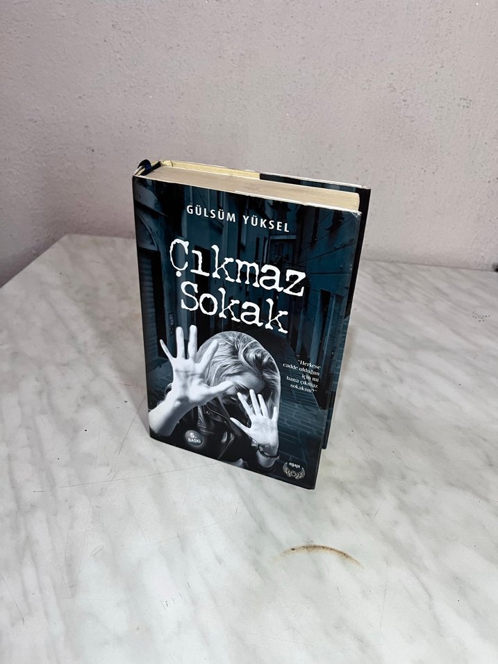 Çıkmaz Sokak - Gülsüm Yüksel - Görsel 2