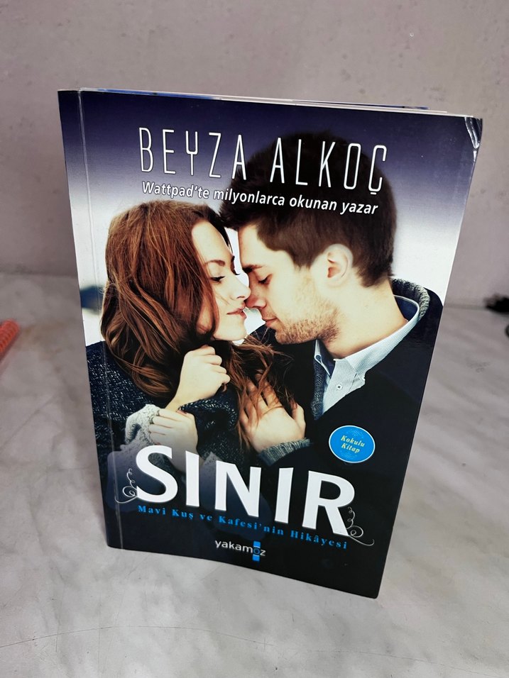 Sınır - Beyza Alkoc Romanı - Görsel 2