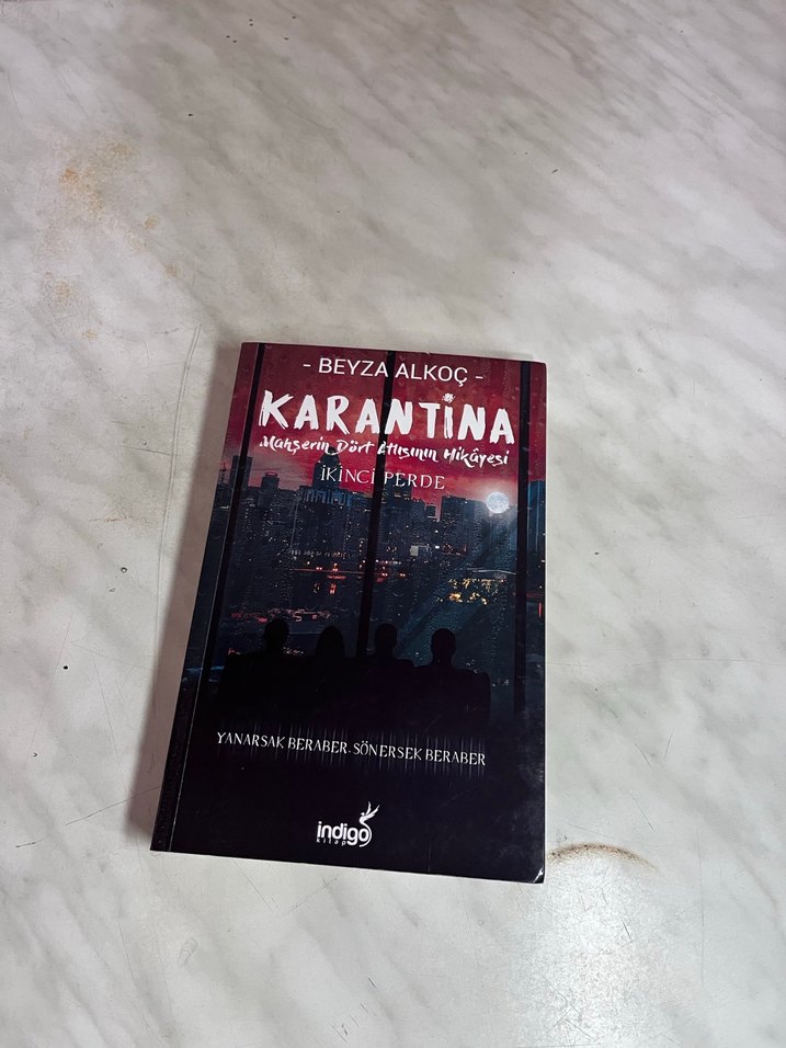 Beyza Alkoç - Karantina 2 - Görsel 3