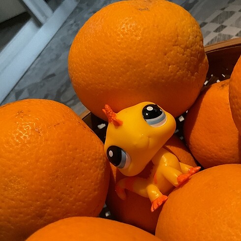  Lps miniş