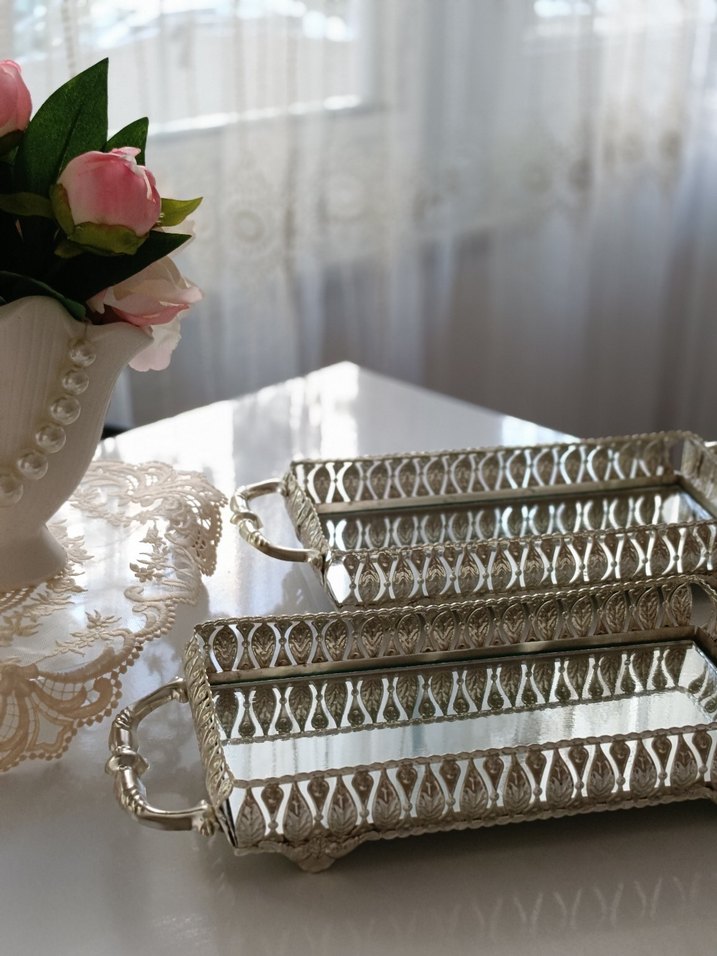 Gümüş Renk Parlak sunum yada sus için Tepsi - Görsel 2