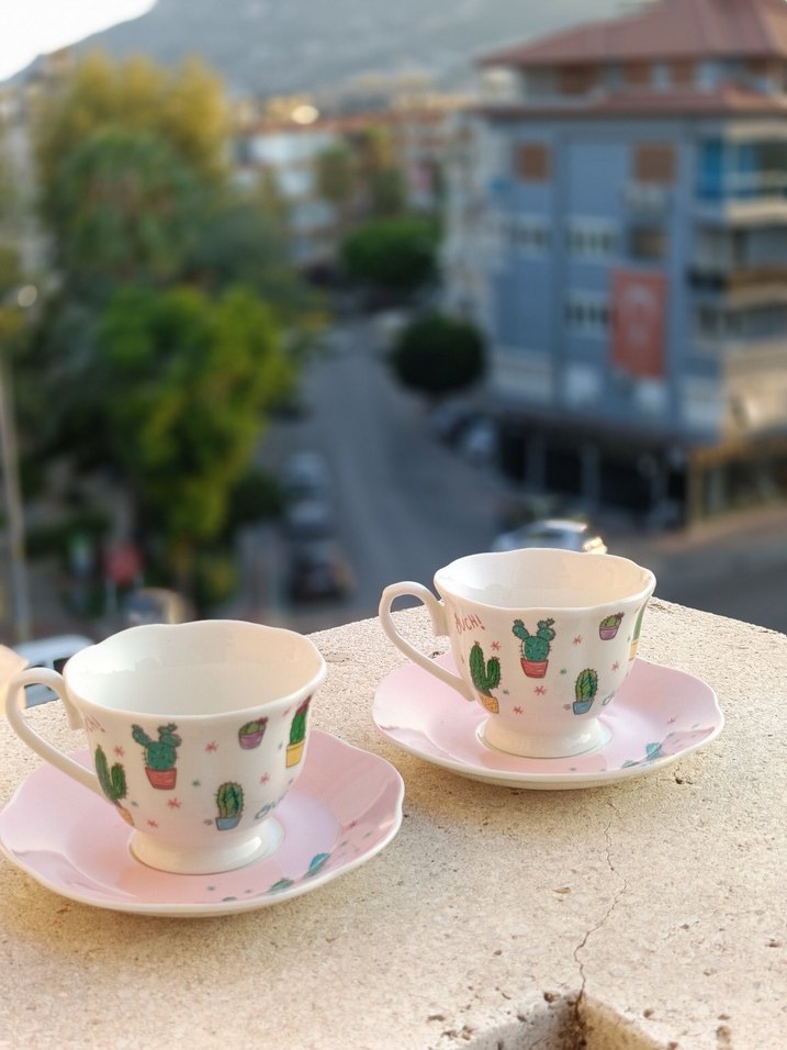 Pembe Kaktüs Desenli 2'li Kahve Fincanı Seti - Görsel 2