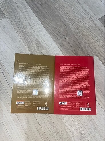 Beden Renk Sabahattin Ali Kitap Seti