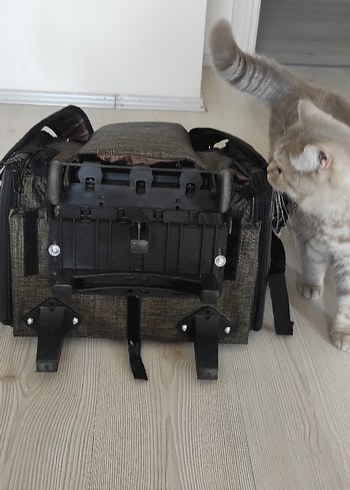 Beden Renk Siyah Baskılı Kayışlı kedi köpek Taşıma Çantası