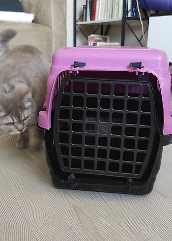 Koyu Pembe Kedi köpek Taşıma Kutusu