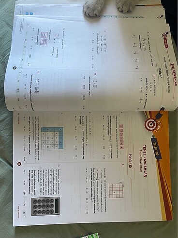 Beden Renk Hedef 15 net matematık ıq yayınları