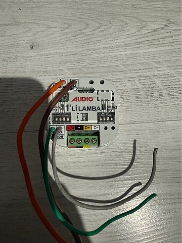 Audio 1li lamba modülü