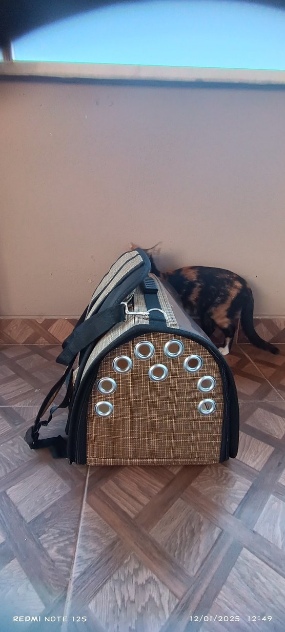 Lavista Flybag Tomris Kedi Köpek Sırt Çantası Haki - Görsel 4