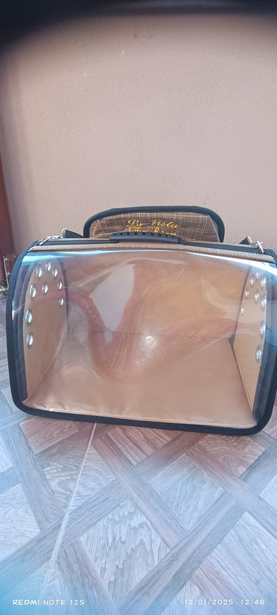 Lavista Flybag Tomris Kedi Köpek Sırt Çantası Haki - Görsel 5