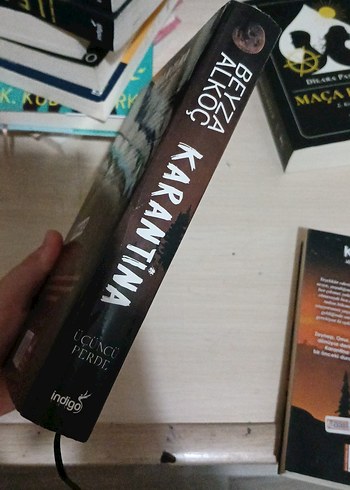 Karantina Roman Serisi - Beyza Akço - Görsel 7