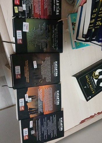 Karantina Roman Serisi - Beyza Akço - Görsel 2