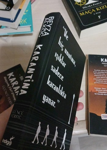 Karantina Roman Serisi - Beyza Akço - Görsel 8