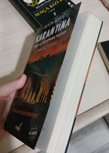 Karantina Roman Serisi - Beyza Akço - Görsel 9