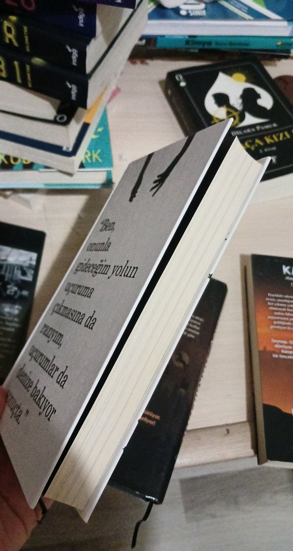 Karantina Roman Serisi - Beyza Akço - Görsel 5