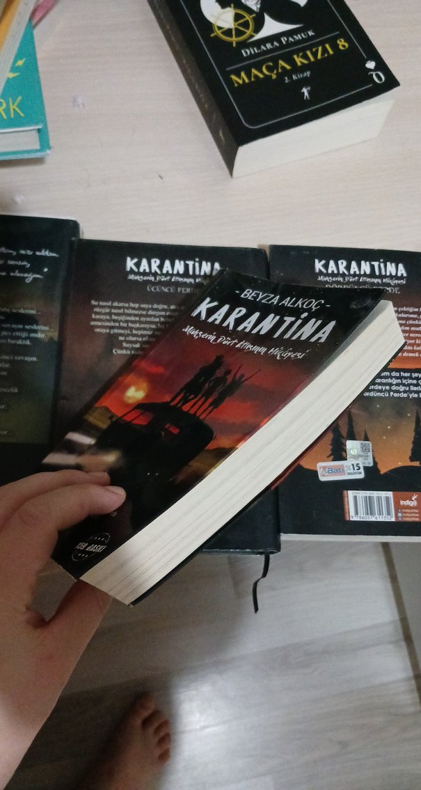 Karantina Roman Serisi - Beyza Akço - Görsel 3