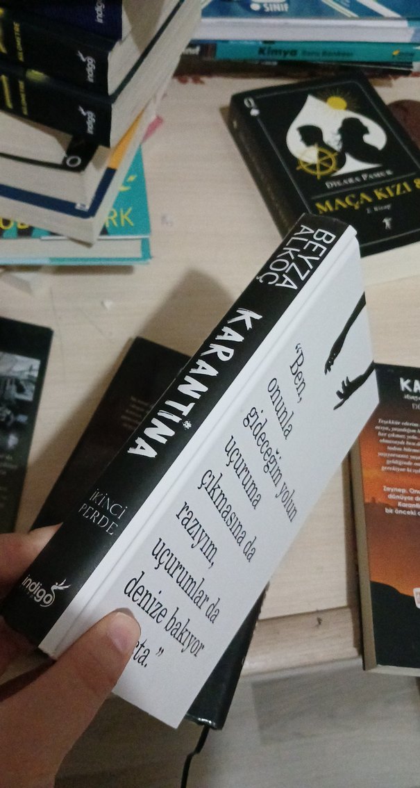 Karantina Roman Serisi - Beyza Akço - Görsel 4