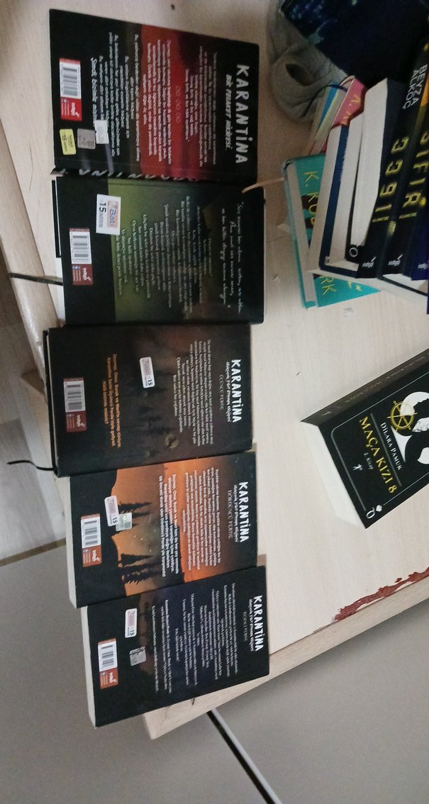 Karantina Roman Serisi - Beyza Akço - Görsel 2