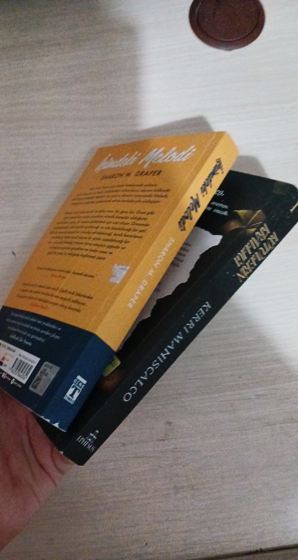 Kötülerin Krallığı ve İçimdeki Melodi Romanları - Görsel 4