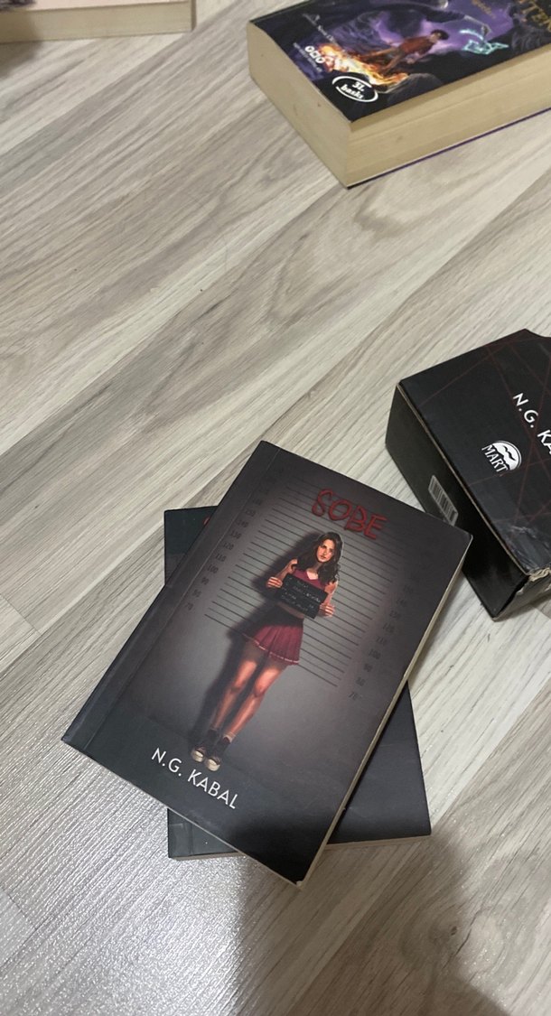 N.G. Kabal'dan Sobé ve Saklambac Romanları - Görsel 5