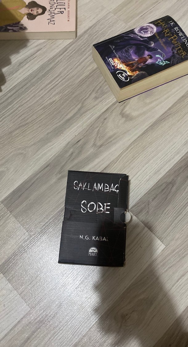 N.G. Kabal'dan Sobé ve Saklambac Romanları - Görsel 2