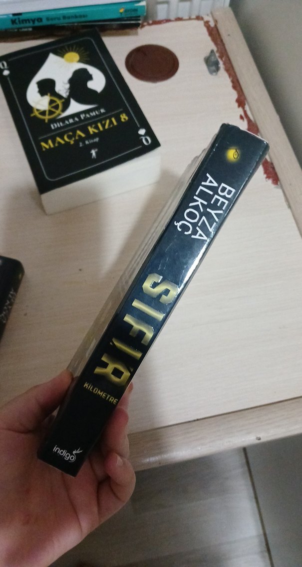 Beyza Alkoc'tan 3391 Kilometre ve Sıfır Romanları - Görsel 5