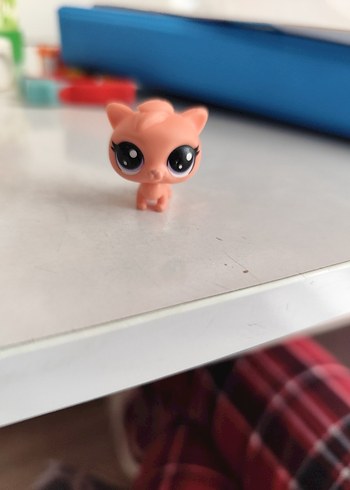 LPS kedi Miniş