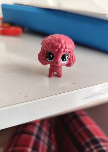 LPS köpek Miniş