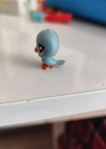  LPS kuş Miniş