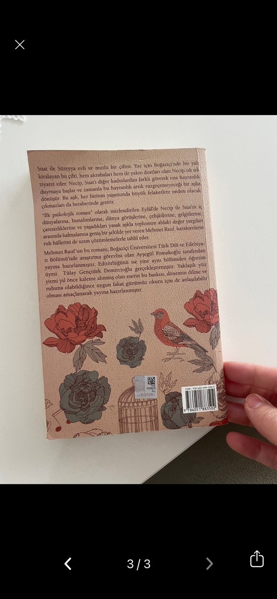 Eylül - Mehmet Rauf Romanı - Görsel 3