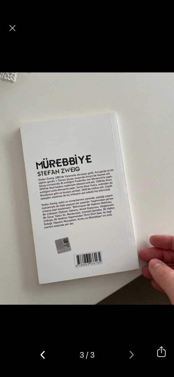 Mürebbiye - Stefan Zweig - Görsel 3